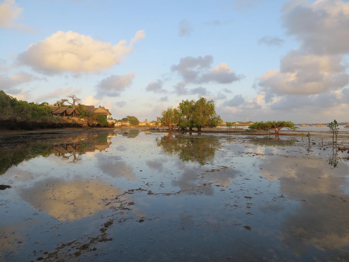 Wasini Island Bandas Eksteriør billede
