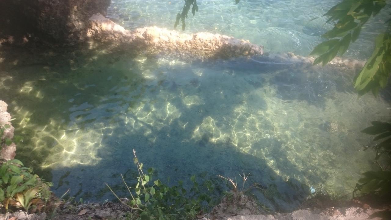 Wasini Island Bandas Eksteriør billede